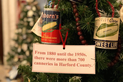 Holiday trees deck the halls inside Maryland’s historic State House