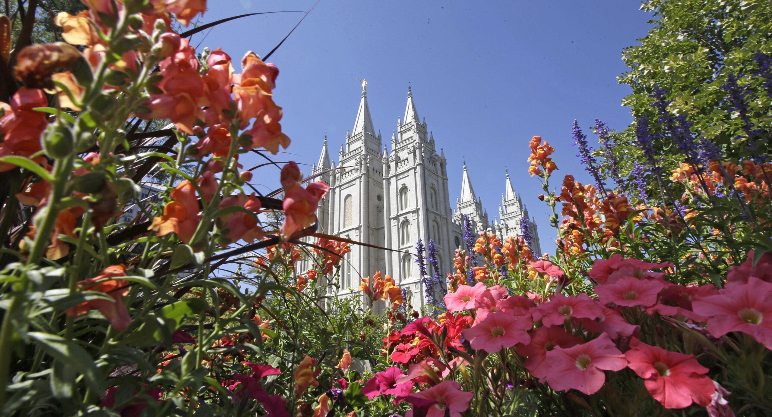 Mormon Church Voices Support For Same Sex Marriage Law Wtop News