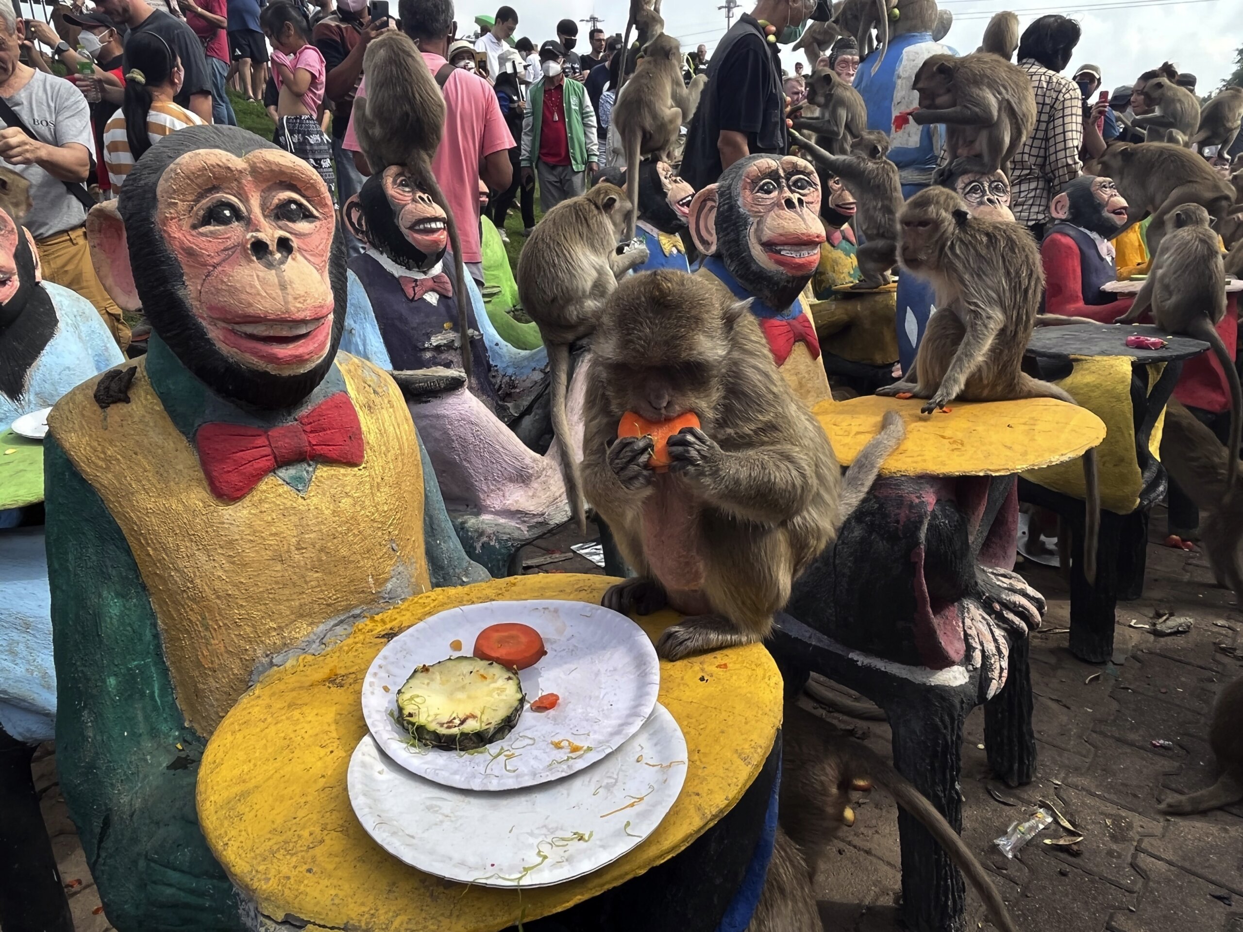 monkeys-in-central-thailand-city-mark-their-day-with-feast-wtop-news