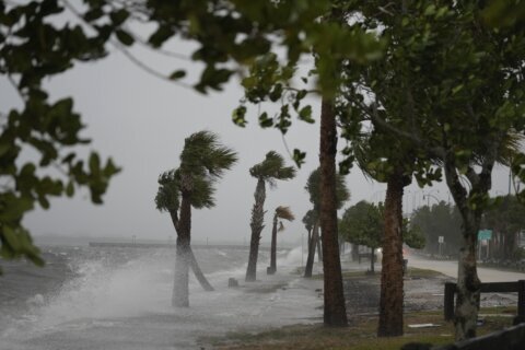 Tropical Storm Nicole weakens to depression, reaches Georgia