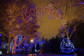Touring through a winter wonderland: Where to see holiday lights in the DC area