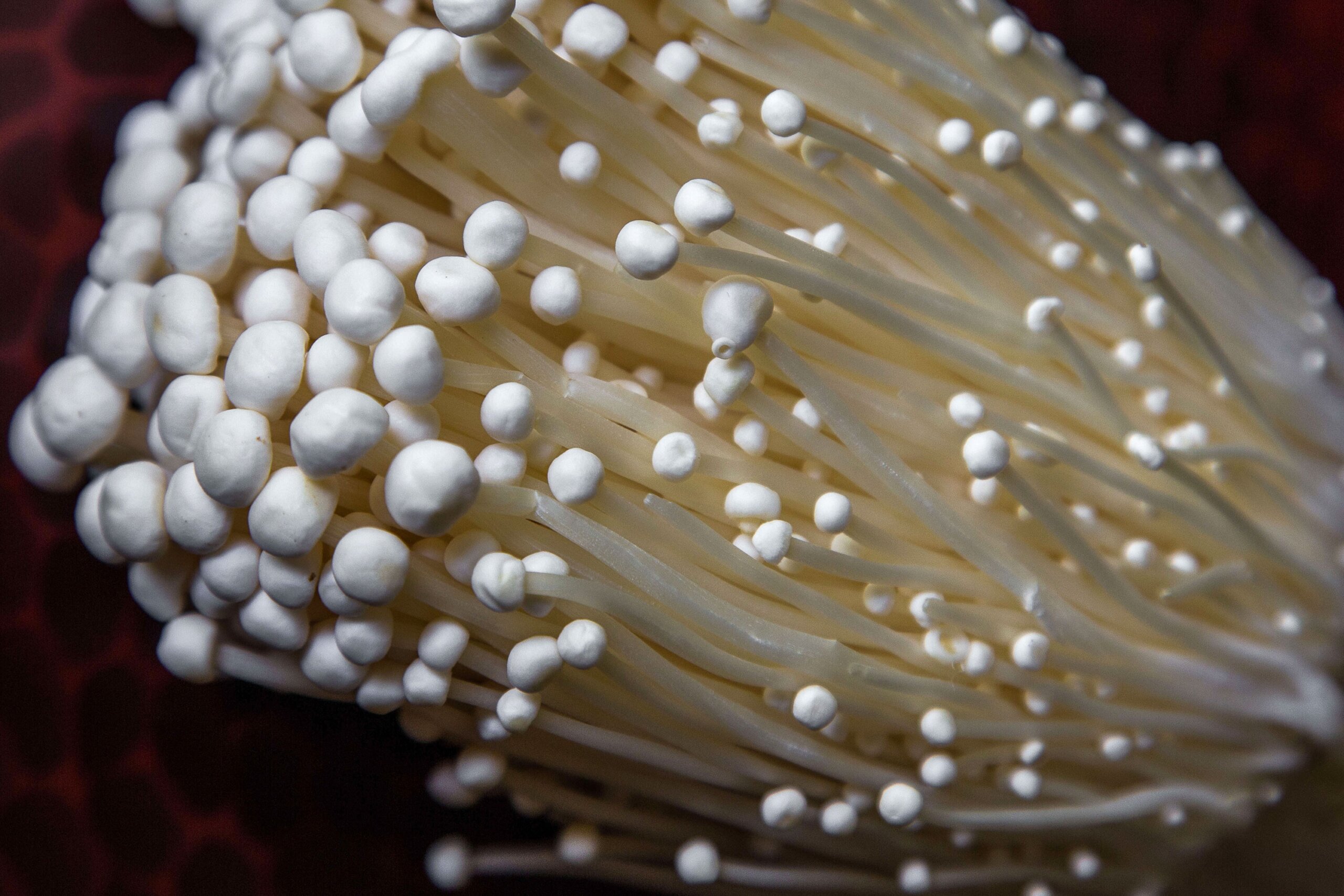 Green Day Produce recalls enoki mushroom packages due to possible