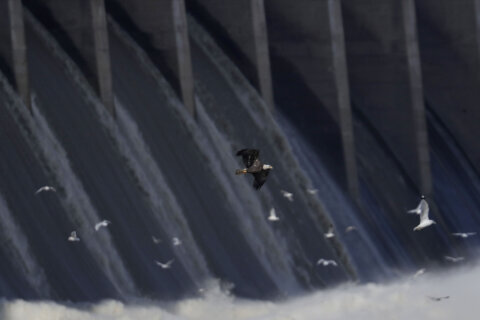 Conowingo Dam license invalidated by appeals court