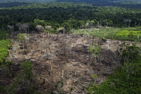 Brazil’s Lula promises no deforestation but challenges loom