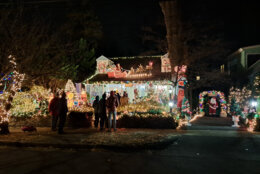 The Marcey's Christmas lights have been attracting crowds for 53 years. 