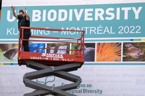 Governments gather in Canada in bid to boost biodiversity