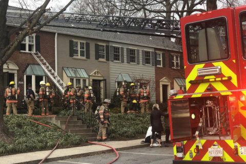 2 dogs found dead after fire in Chevy Chase row house