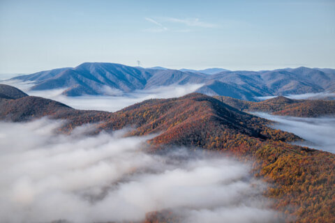 Foggy stretch expected in Blue Ridge this week