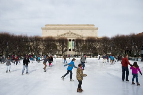 15 ice skating rinks in DC-area