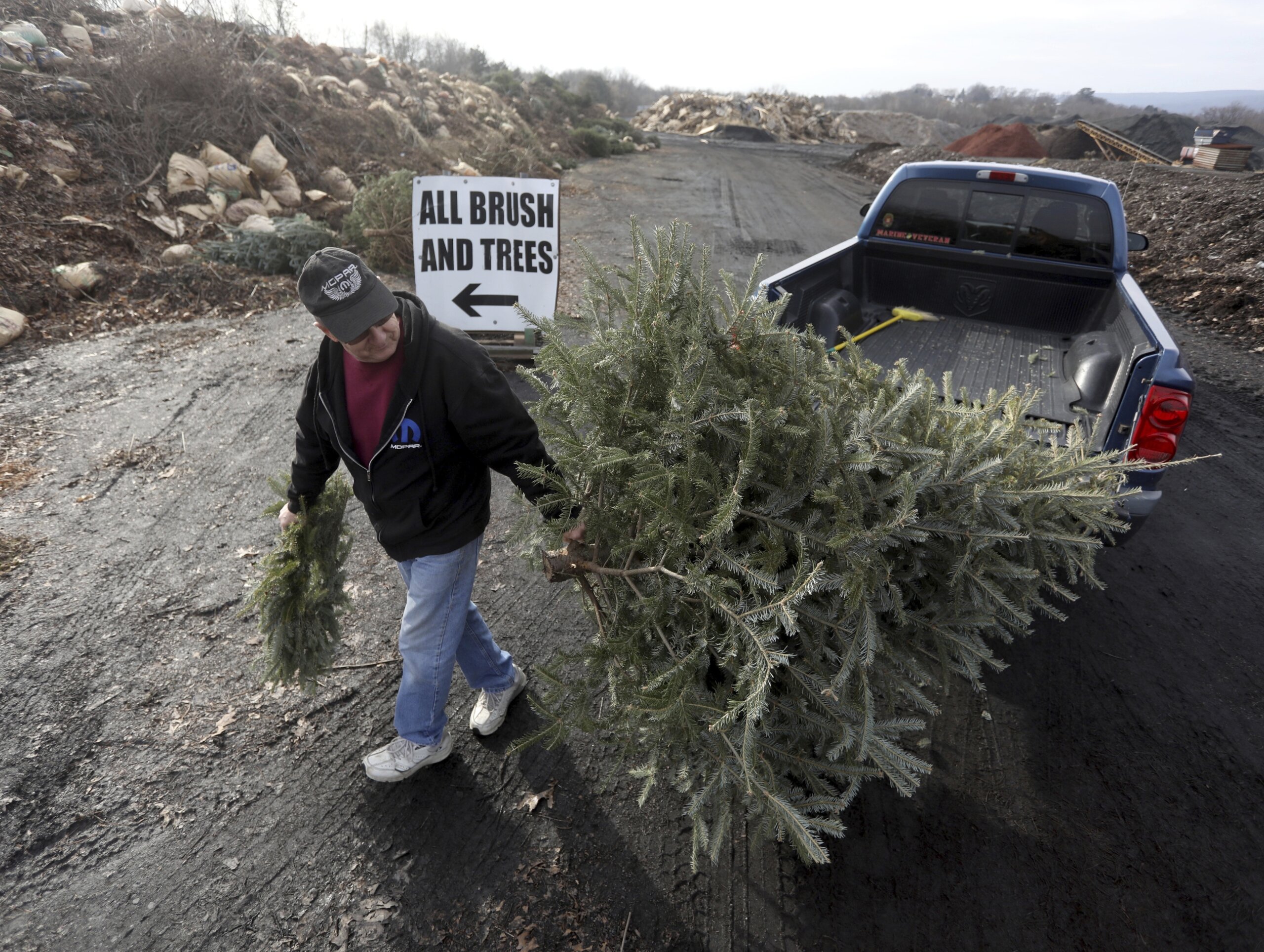Christmas tree recycling is a good alternative to landfills WTOP News