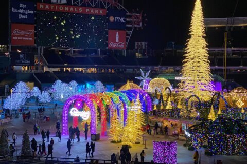 Millions of lights shine at Nats Park holiday maze and village