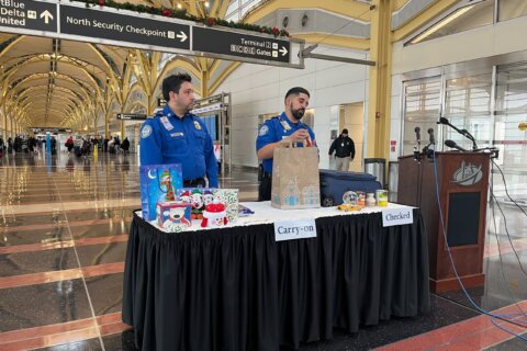 TSA shares travel tips for smooth flights, warns against firearms at checkpoints