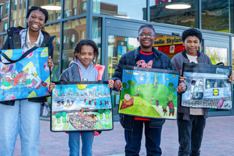 Lidl puts DC student art on fundraising shopping bags