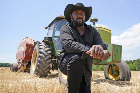 Farmers of color sue government for promised federal aid