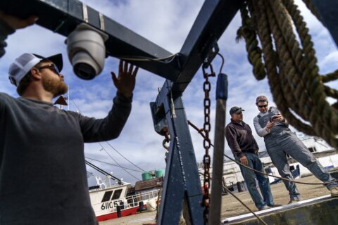 Could trawler cams help save world’s dwindling fish stocks?