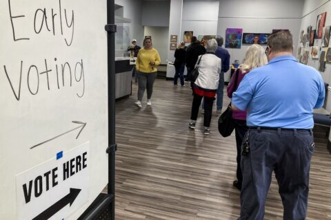 Nonprofits strain to support voters in Georgia Senate race