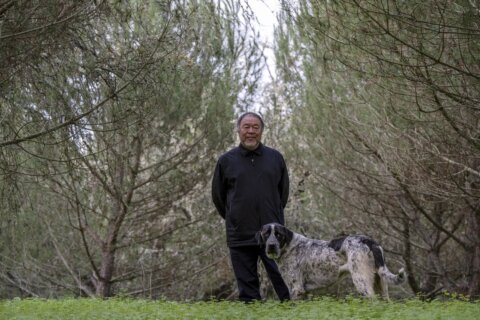 Dissident artist Weiwei says China unrest won’t alter regime