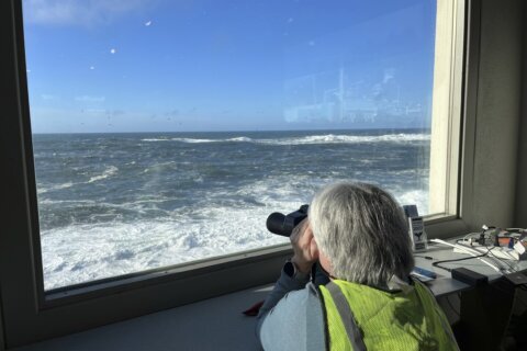 Whale Watch Week returns in-person in Oregon after pandemic