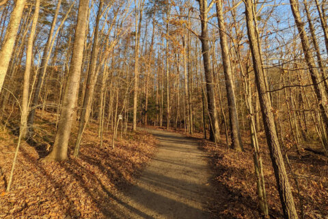Ring in the new year with a ‘First Day Hike’ in the DC area