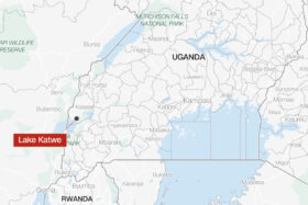 2-year-old rescued after being swallowed by hippo