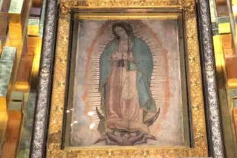 Cinco razones de la devoción por la Virgen de Guadalupe, patrona de los mexicanos