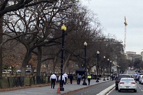 Police charge 1 in death of man found in White House Ellipse park