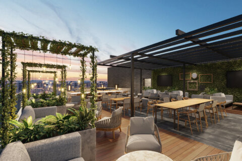 Rooftop restaurant Yara opens in DC’s NoMa this spring