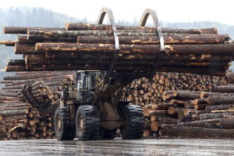 Oregon pins hopes on mass timber to boost housing, jobs