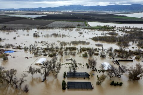 California storms boost water allocation for cities