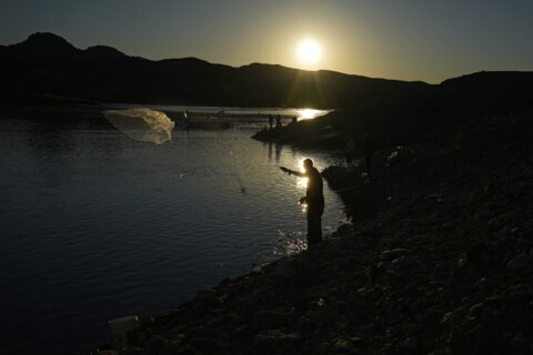 California is lone holdout in Colorado River cuts proposal