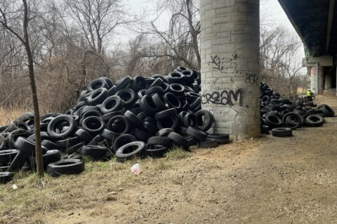 National Park Service begins cleaning up hundreds of tires dumped in Anacostia Park