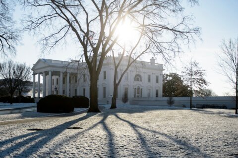Early-winter snow drought has happened in DC before
