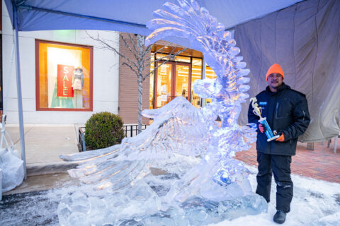 Award-winning ice sculptors kick off Leesburg festival this Saturday