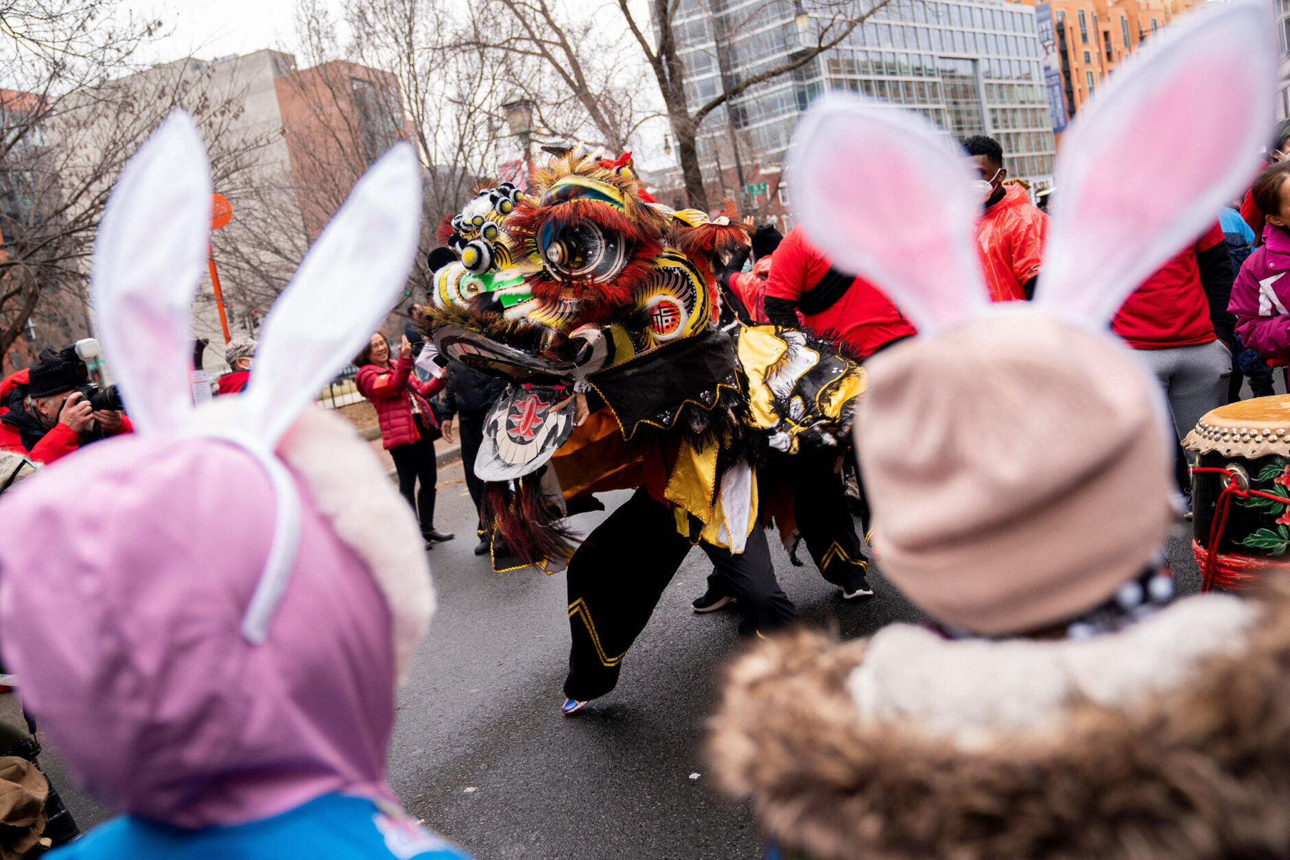 Children wear rabbit ears while watching a dragon dance prior to the Lunar New Year Parade in the Chinatown neighborhood of Washington, DC, on January 22, 2023. - 2023 is the year of the rabbit in the Chinese horoscope. (Photo by Stefani Reynolds / AFP) (Photo by STEFANI REYNOLDS/AFP via Getty Images)