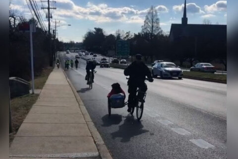 ‘So much safer now’: Bicyclists ride new bike lanes on Old Georgetown Road
