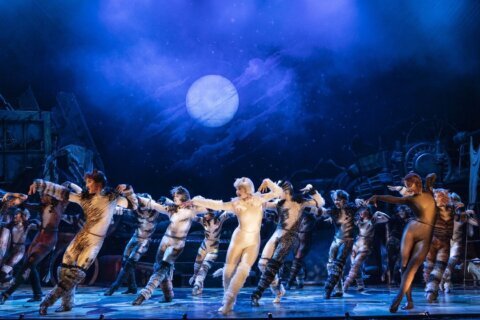 Andrew Lloyd Webber’s iconic Broadway musical ‘Cats’ purrs into National Theatre