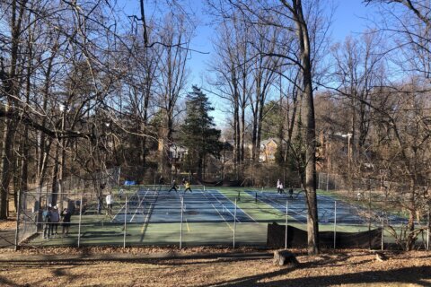 Vienna in Va. limits pickleball play because of noise