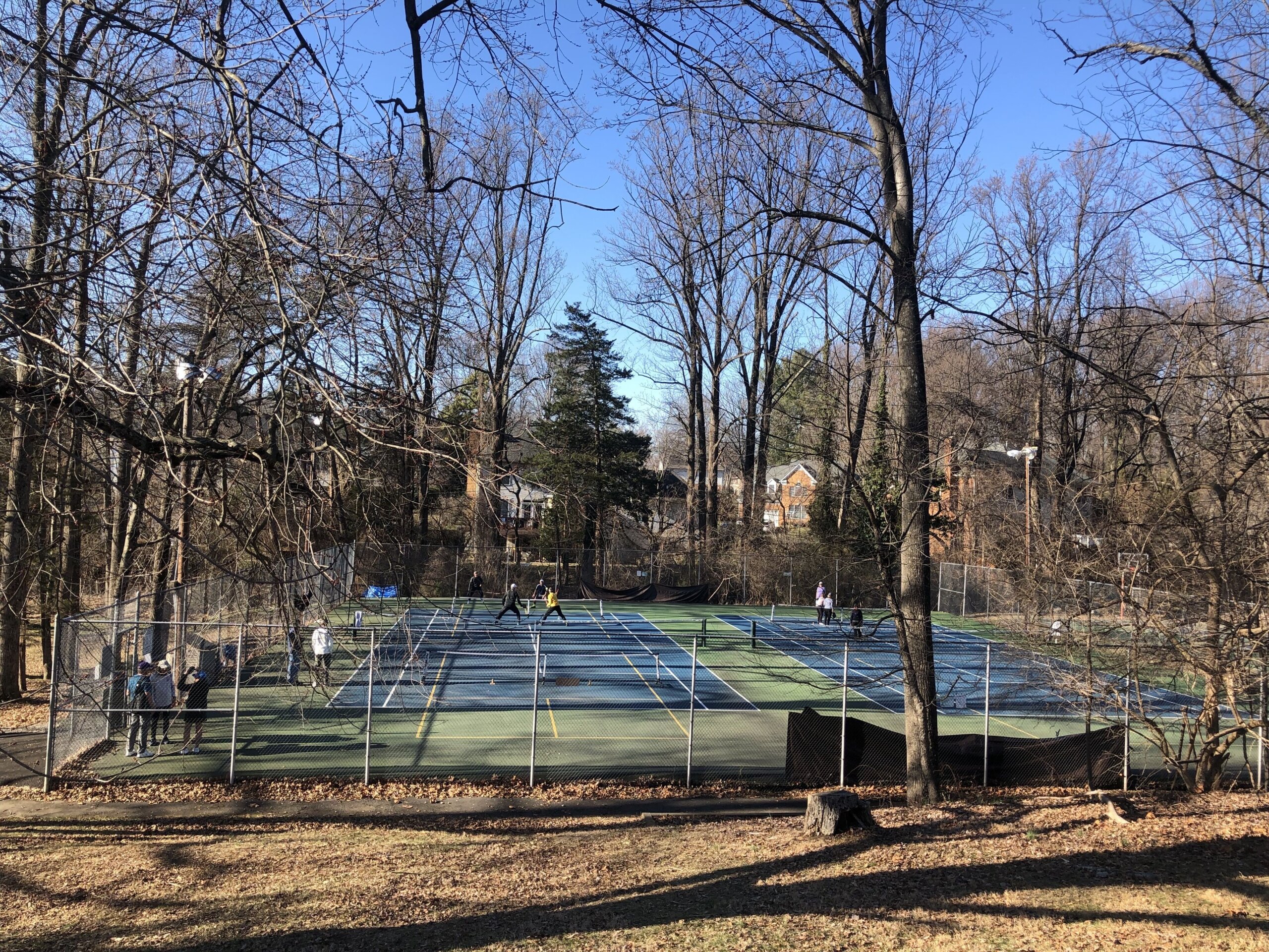 Vienna limits pickleball play because of noise