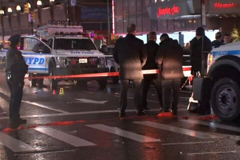 Times Square machete attack suspect indicted on terrorism charges