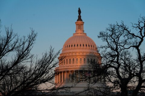 Local DC laws delayed due to holdup in Congress