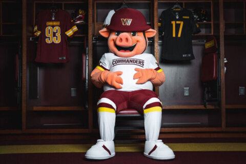 Washington Commanders’ new porky mascot: Major Tuddy