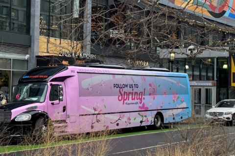 DC ‘Cherry Blossom Bus’ continues tour with NYC stop