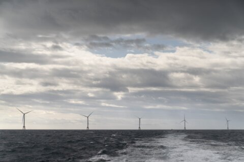 Biden considers 1st offshore wind auction in Gulf of Mexico
