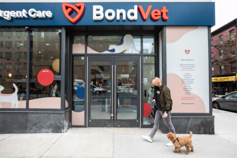 Bond Vet to open Logan Circle clinic