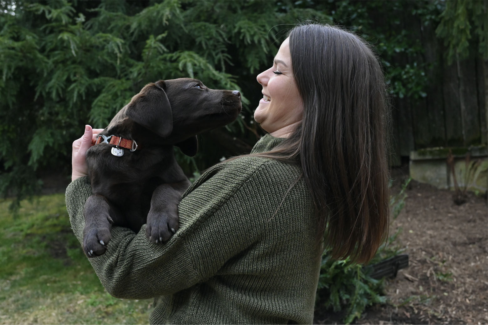 A photo of Calvin, a chocolate Labrador retriever with Juliana DeWillems, the owner of JW Dog Training & Behavior.