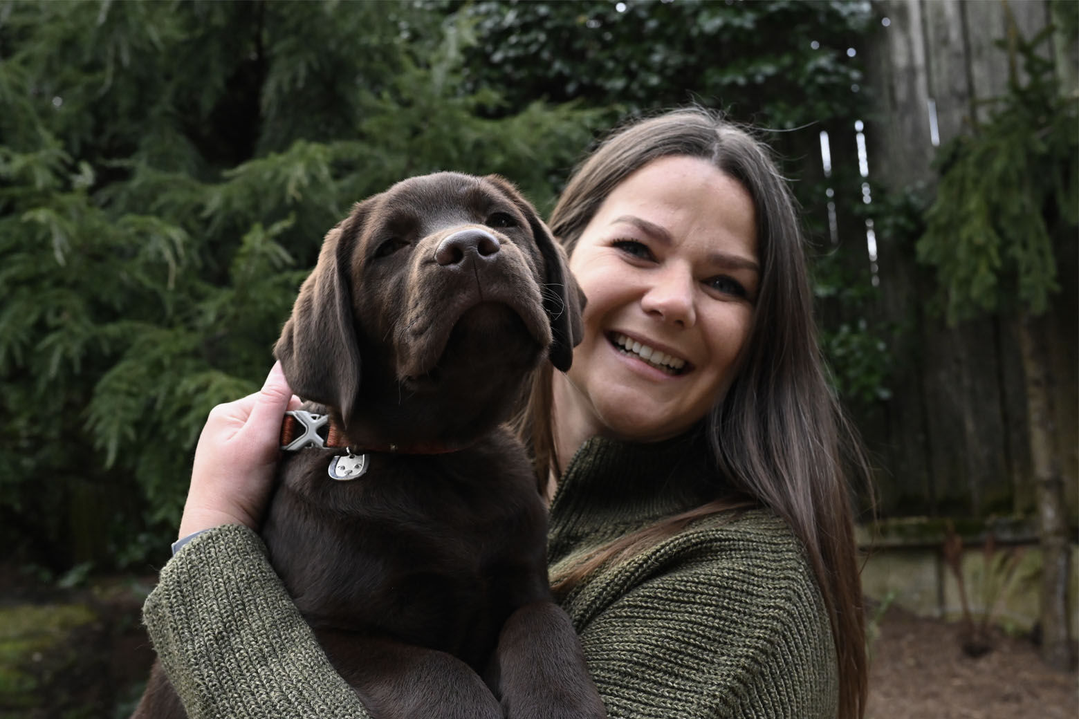 A photo of Calvin, a chocolate Labrador retriever with Juliana DeWillems, the owner of JW Dog Training & Behavior.