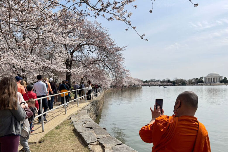 Peak Bloom for This Year's Cherry Blossoms May Be Earliest On