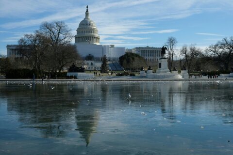 DC in February: A mix of warm and cold spells