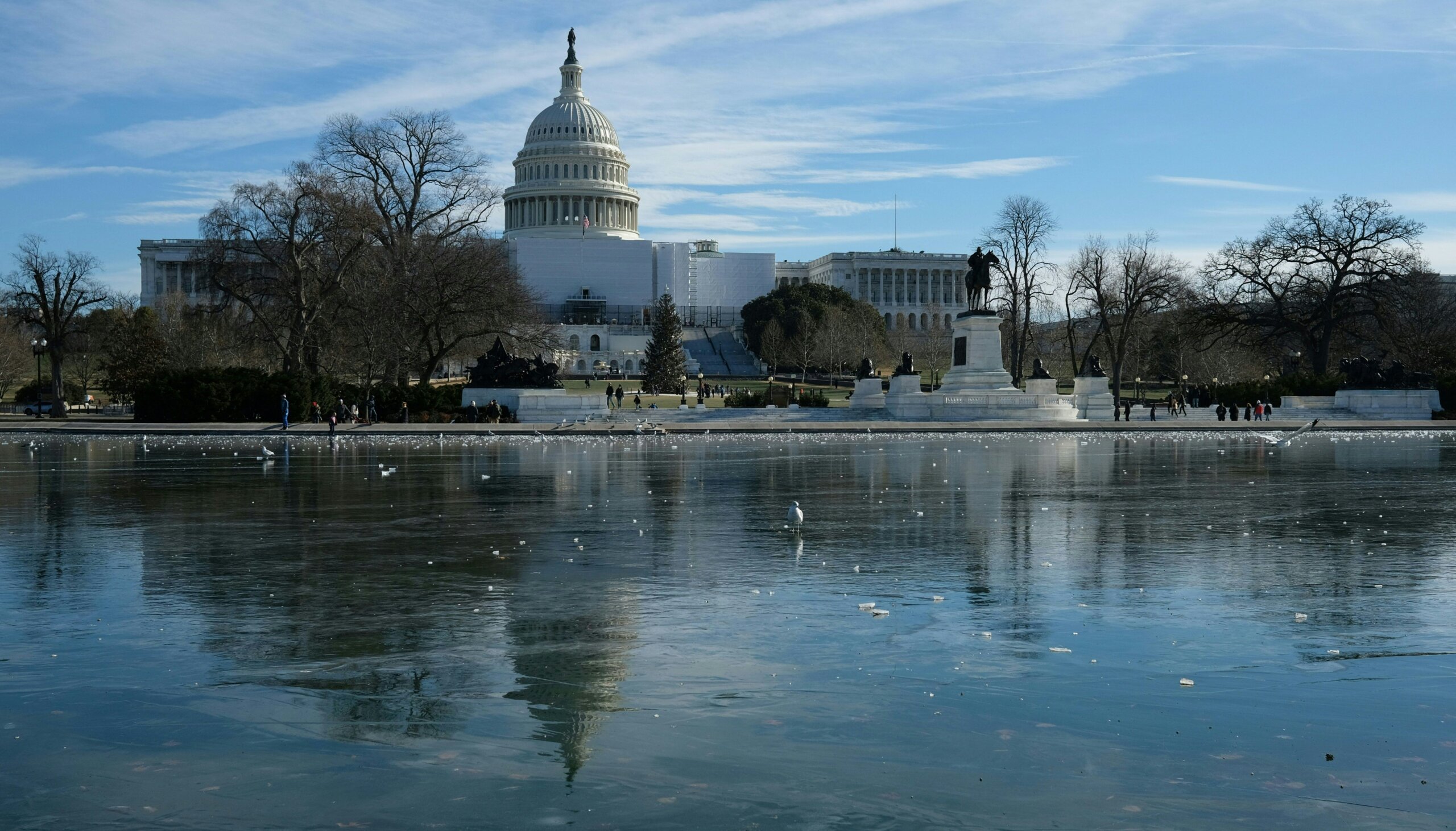 DC in February A mix of warm and cold spells WTOP News
