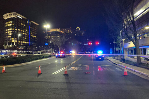 Fairfax Co. police: No evidence man shot by officer near Tysons mall was armed